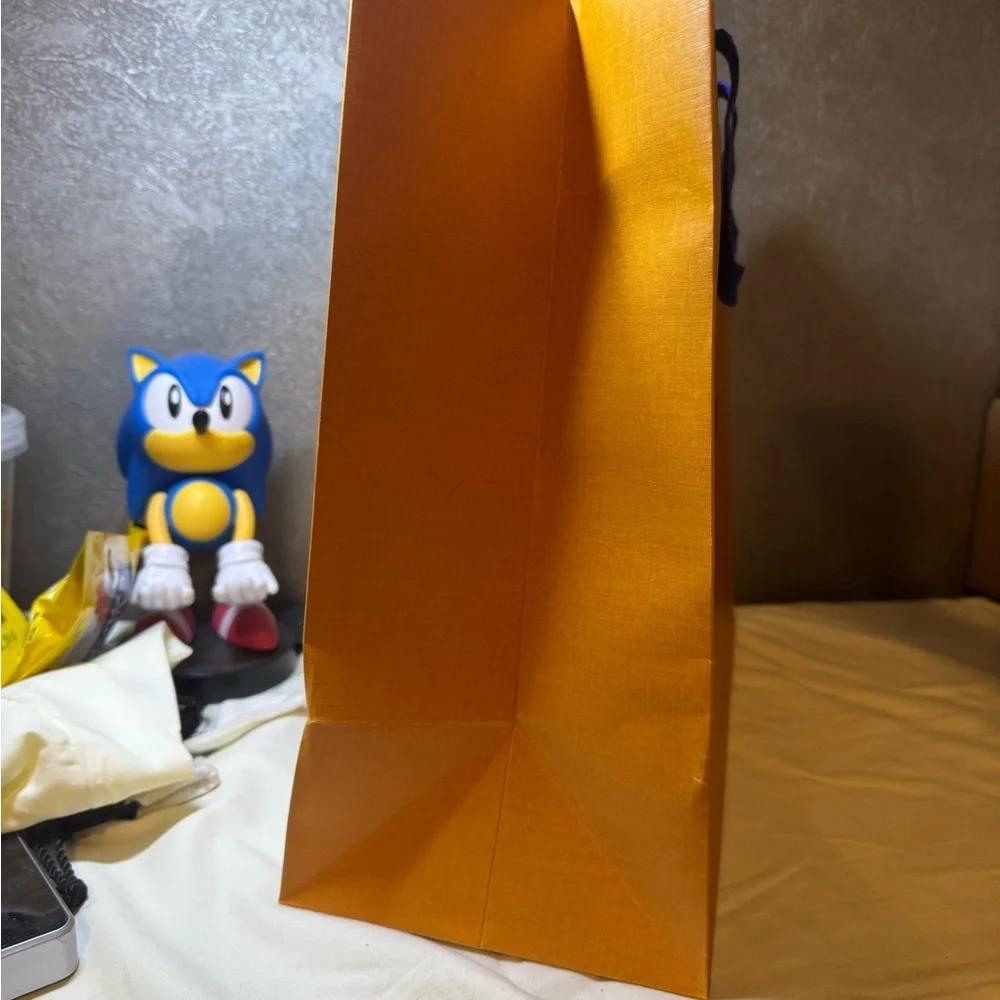 Louis Vuitton gift bag